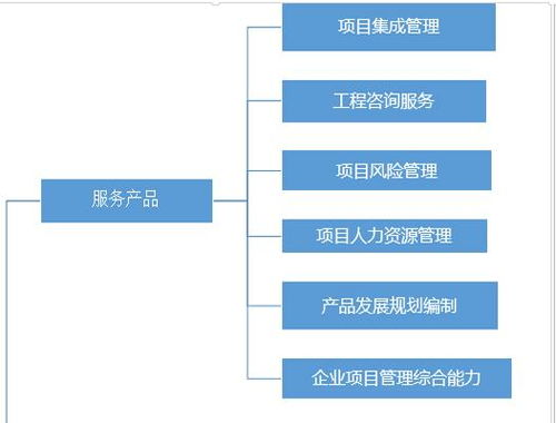 融合項(xiàng)目管理與征信服務(wù) 企業(yè)數(shù)字化協(xié)同發(fā)展的雙引擎
